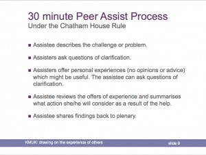 Peer Assist Process